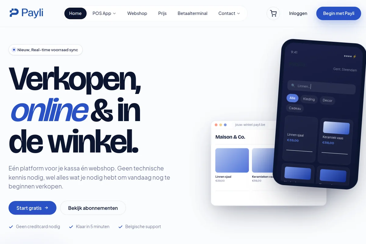 Payli website preview